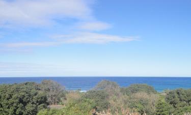 Beach rentals in Sea Park