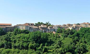 Apartments in Scansano