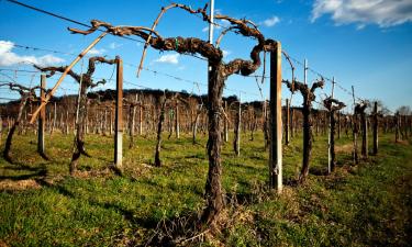 Cottages in Nizza Monferrato