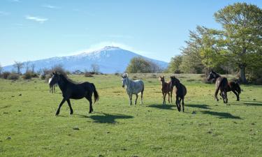 Holiday Rentals in San Fratello