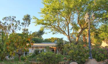 Vakantiewoningen aan het strand in Montinhos da Luz