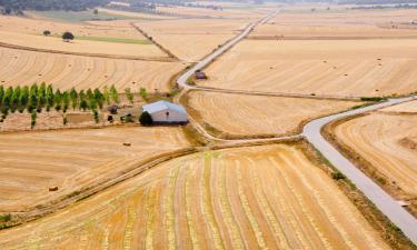 Holiday Homes in Berlanga de Duero