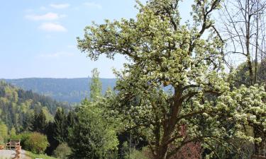 Parkolóval rendelkező hotelek Nordrachban