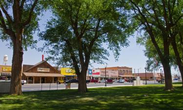 Holiday Rentals in Levelland