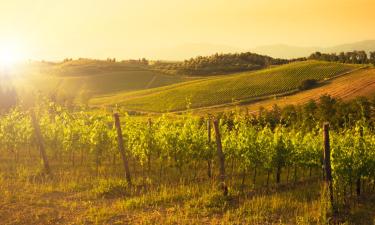 Huoneistot kohteessa Castelnuovo Berardenga