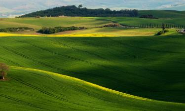 Agroturismos en Reggello