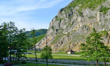 Hoteluri în Baia de Fier