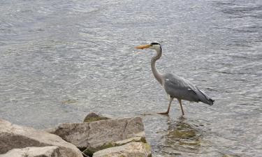 Parkimisega hotellid sihtkohas Au an der Donau