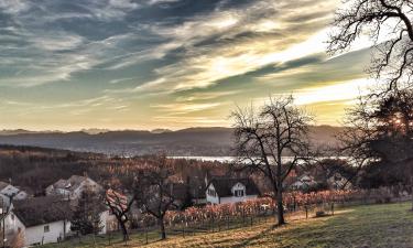 Mājdzīvniekiem draudzīgas viesnīcas pilsētā Zollikerberg