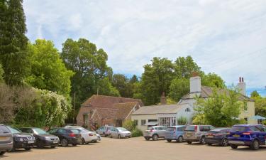 Cottages in Droxford