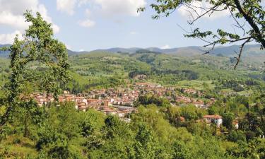 Hotel Ramah Hewan Peliharaan di Ortignano Raggiolo