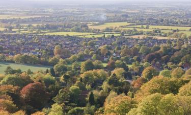 Hoteles que admiten mascotas en Wokingham