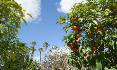 Hotels amb piscina a Gerena