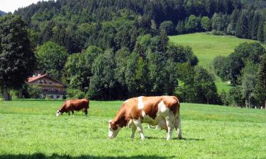 Apartamentos em Lindenberg im Allgäu