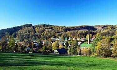 Chalets de montaña en Černý Důl