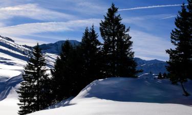 Resorts de esquí en Schlanitzen