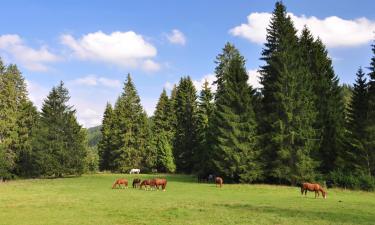 Aarberg şehrindeki oteller