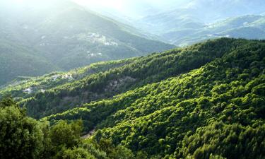 Počitniške nastanitve v mestu Saint-André-Lachamp