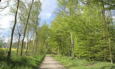 Parkolóval rendelkező hotelek Dahlenburgban