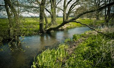 Hotéis em Nederzwalm-Hermelgem