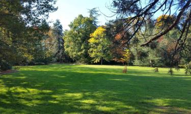 Parkolóval rendelkező hotelek Ploufragan városában 