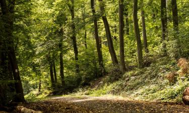 Parkolóval rendelkező hotelek Weilheimben