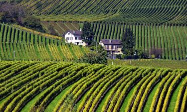 Hoteles familiares en Aubonne