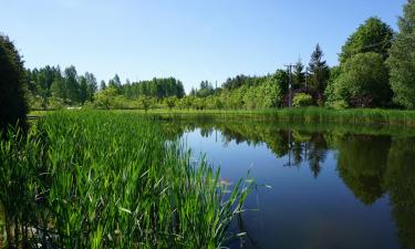 Holiday Rentals in Lapmežciems