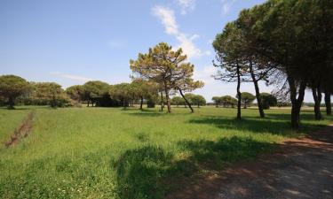 Hoteles con parking en Cavaso del Tomba