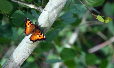 Hoteller i Neckarbischofsheim