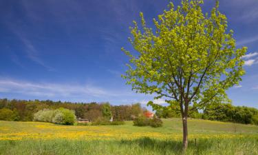 Hotels with Parking in Schwarzenbruck