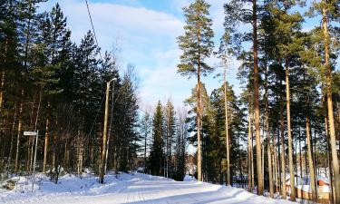 Holiday Homes in Sulkava