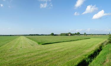 Vakantiehuizen in Zelhem