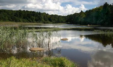 Locations de vacances à Lacrouzette