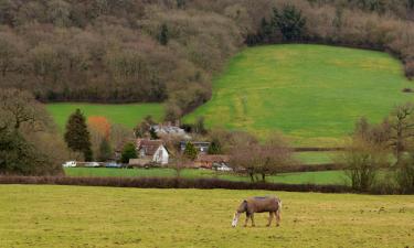 Hoteles con parking en Yarcombe