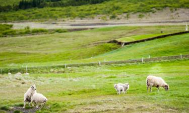 Hotels with Parking in Þóroddsstaður