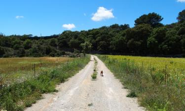 Es Carritxo'daki kiralık tatil yerleri