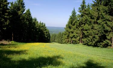 Lejligheder i Falkenstein