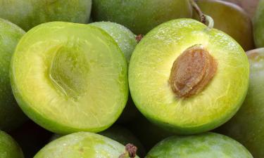 Alojamentos com Cozinha em Bougival