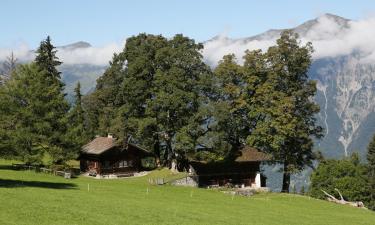 Hoteles con estacionamiento en Willigen