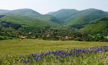 Ваканционни жилища в Медвен