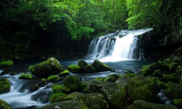 Hôtels pour les familles à Tateshina