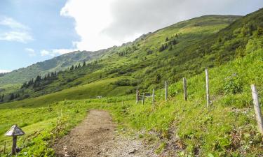 Donnersbach şehrindeki otoparklar