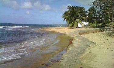 Villas in Aguada