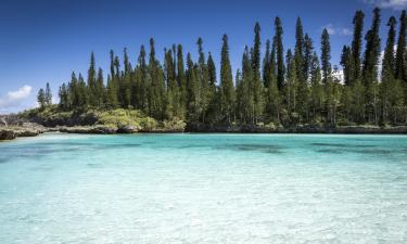 Hoteles en Oro Bay