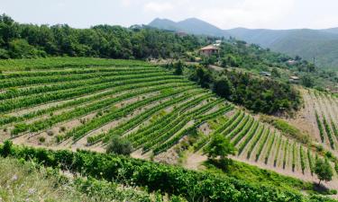 Hôtels acceptant les animaux domestiques à Montalto Ligure