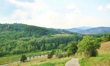 Ferieboliger i SantʼEllero