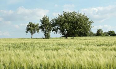 Hoteli s parkiralištem u gradu 'Pont-Sainte-Maxence'