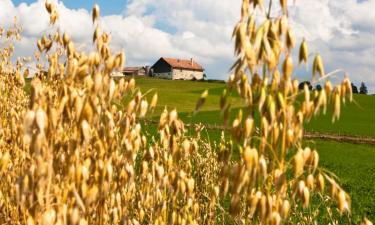 Hoteles familiares en Beromünster