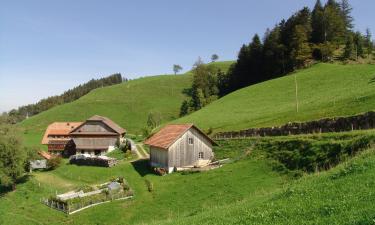 Hoteles familiares en Hergiswil